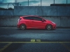 DOTZ LimeRock grey FordFiestaST_imagepic05n